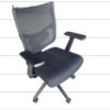 TRAINER CHAIR