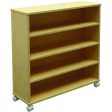 Sophisticated Office Shelf Unit | Premium Storage and Display Solution for Professional Spaces 2024